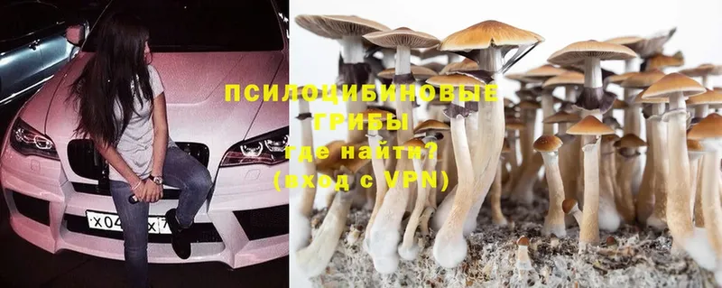 Галлюциногенные грибы Cubensis  ОМГ ОМГ ссылки  Себеж 